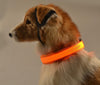 Image of Night Safety Flashing Glow In The Dark Dog Collar