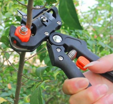 SimpleGrafter™ - Garden Grafting Tool