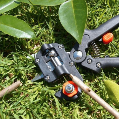 SimpleGrafter™ - Garden Grafting Tool